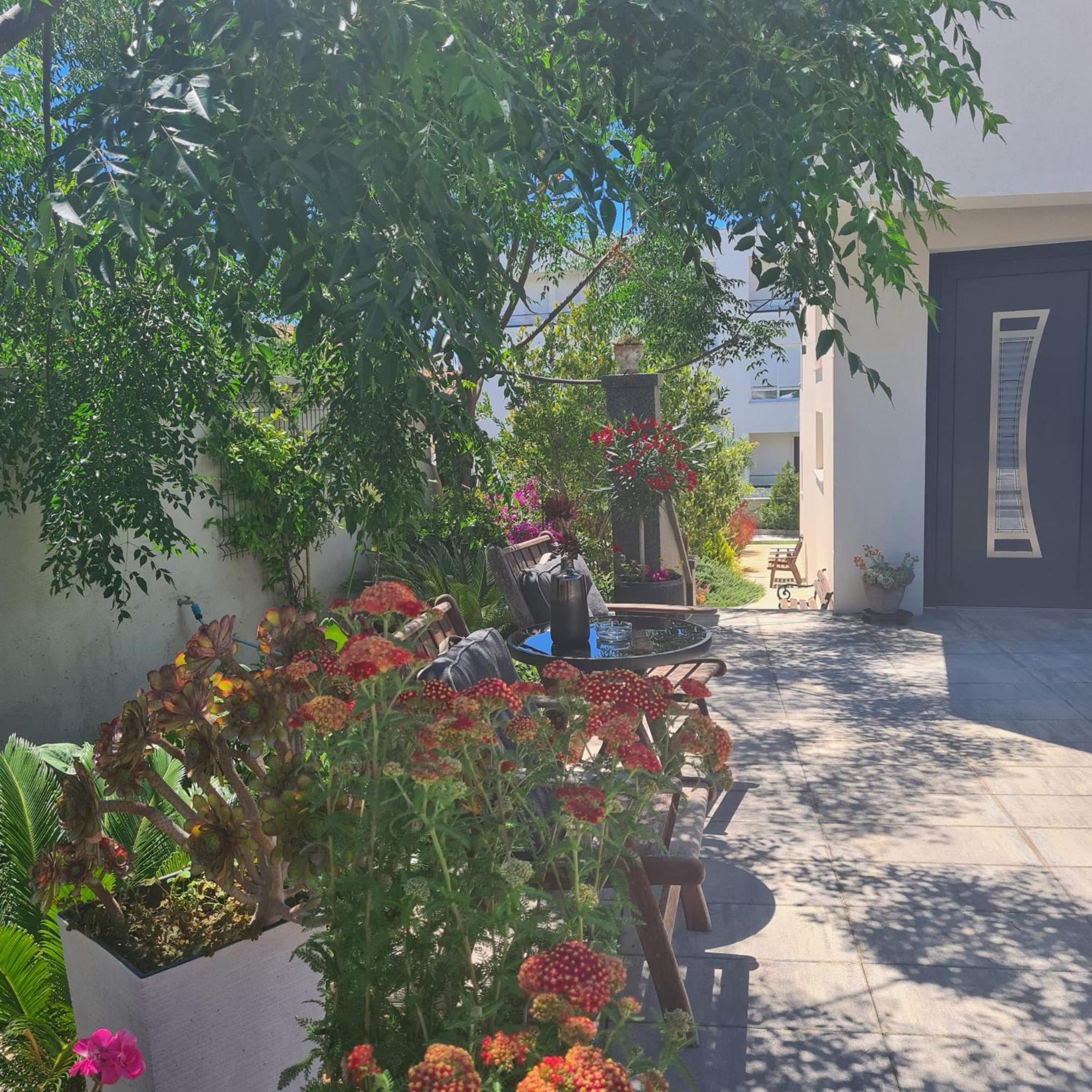 Villa Queen 扎达尔 外观 照片